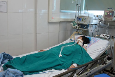 Người lớn có nguy cơ mắc viêm não Nhật Bản